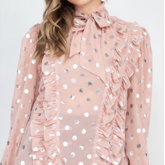 Mauve/Silver Sheer Long Sleeve Polka Dot Neck Tie Blouse - Picture 4 of 15